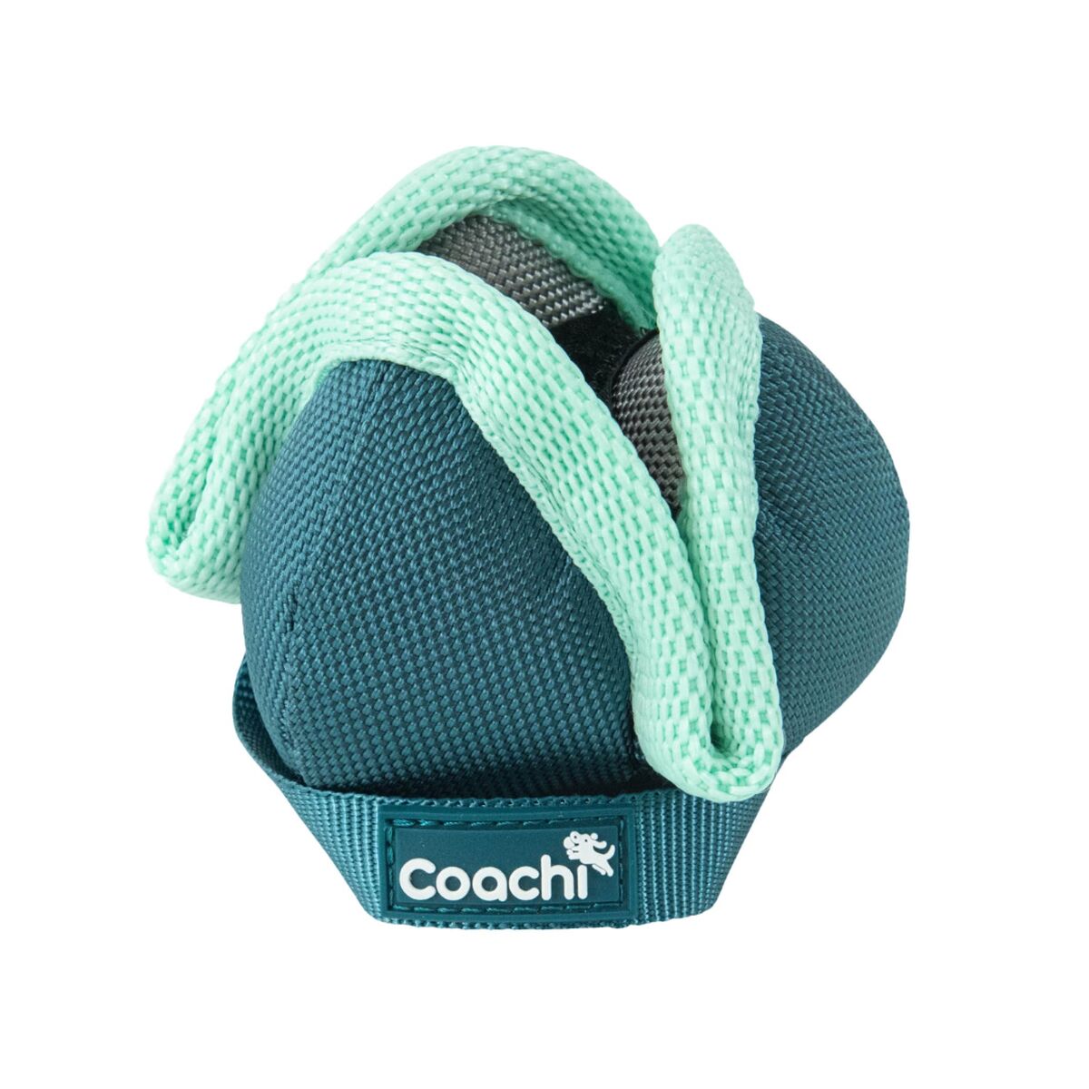 Dog Harness Coachi-4