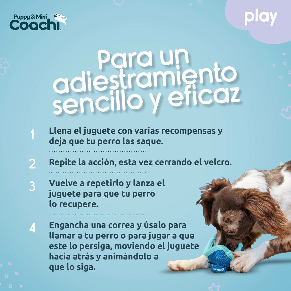 Dog Harness Coachi-1