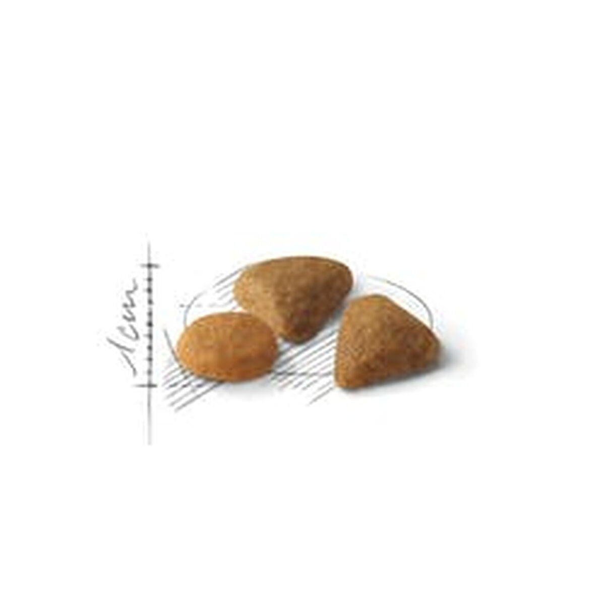 Cat food Royal Canin Feline Savour Exigent 4kg Adult 4 Kg-1