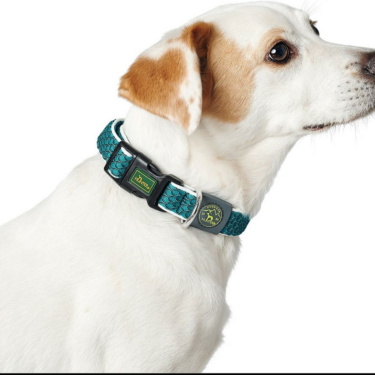 Dog collar Hunter Basic Thread Blue Size M (33-50 cm)-0