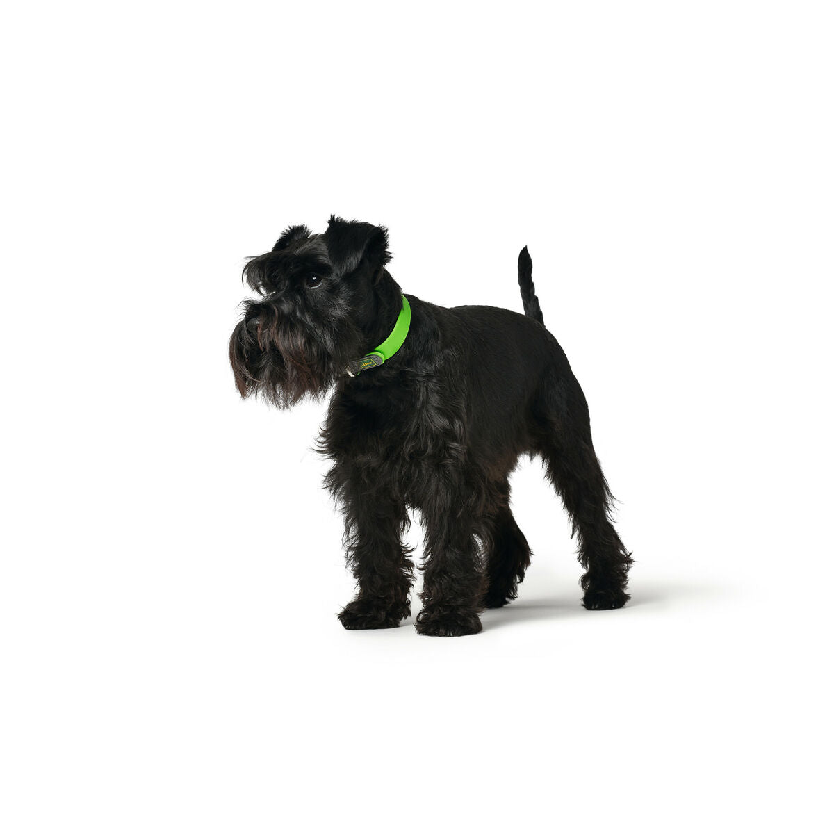 Dog collar Hunter Convenience 47-55 cm L Green-1