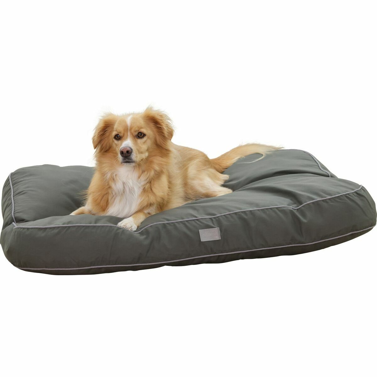 Cat Bed Kerbl-1