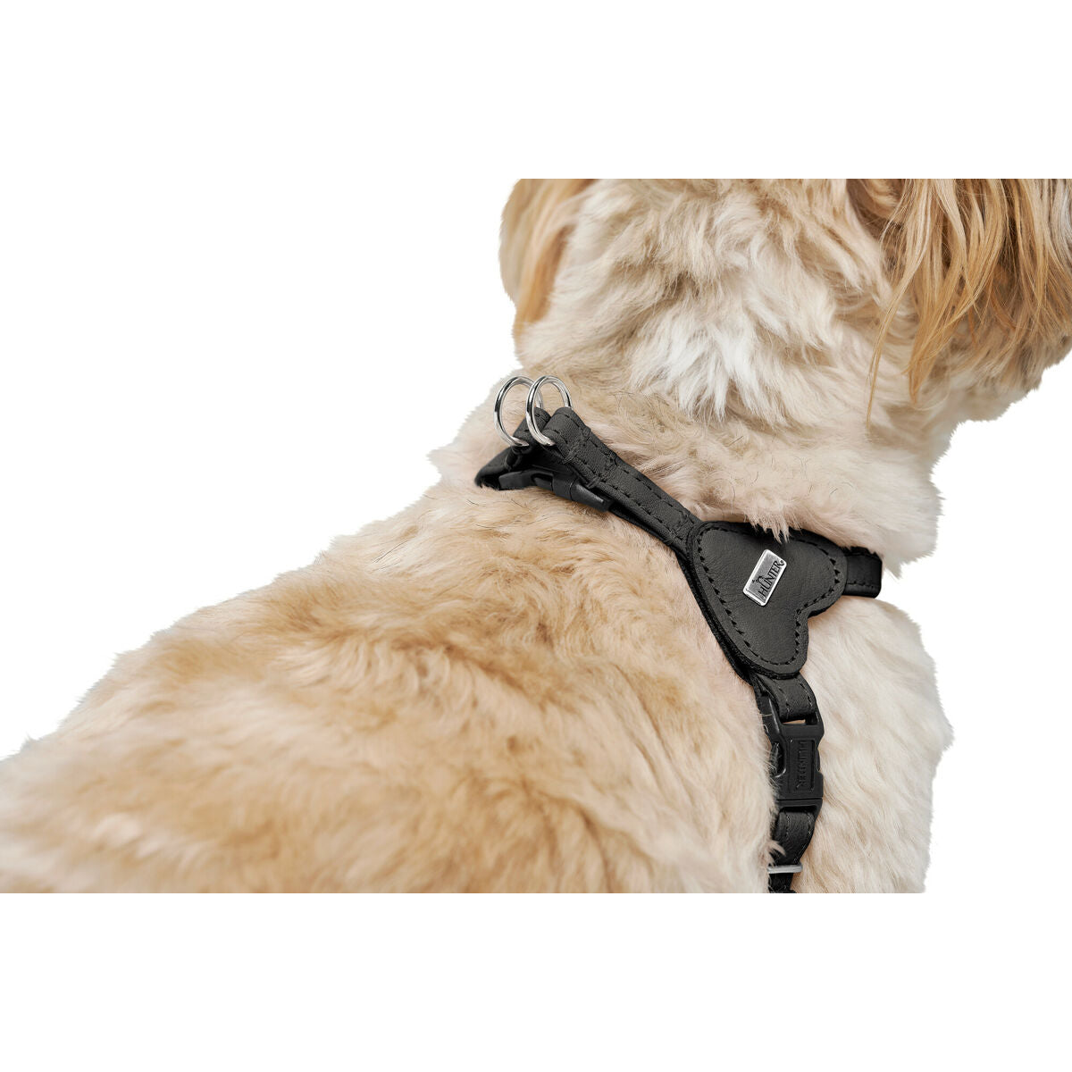 Dog Harness Hunter SOHO MINI Black XS/S-1