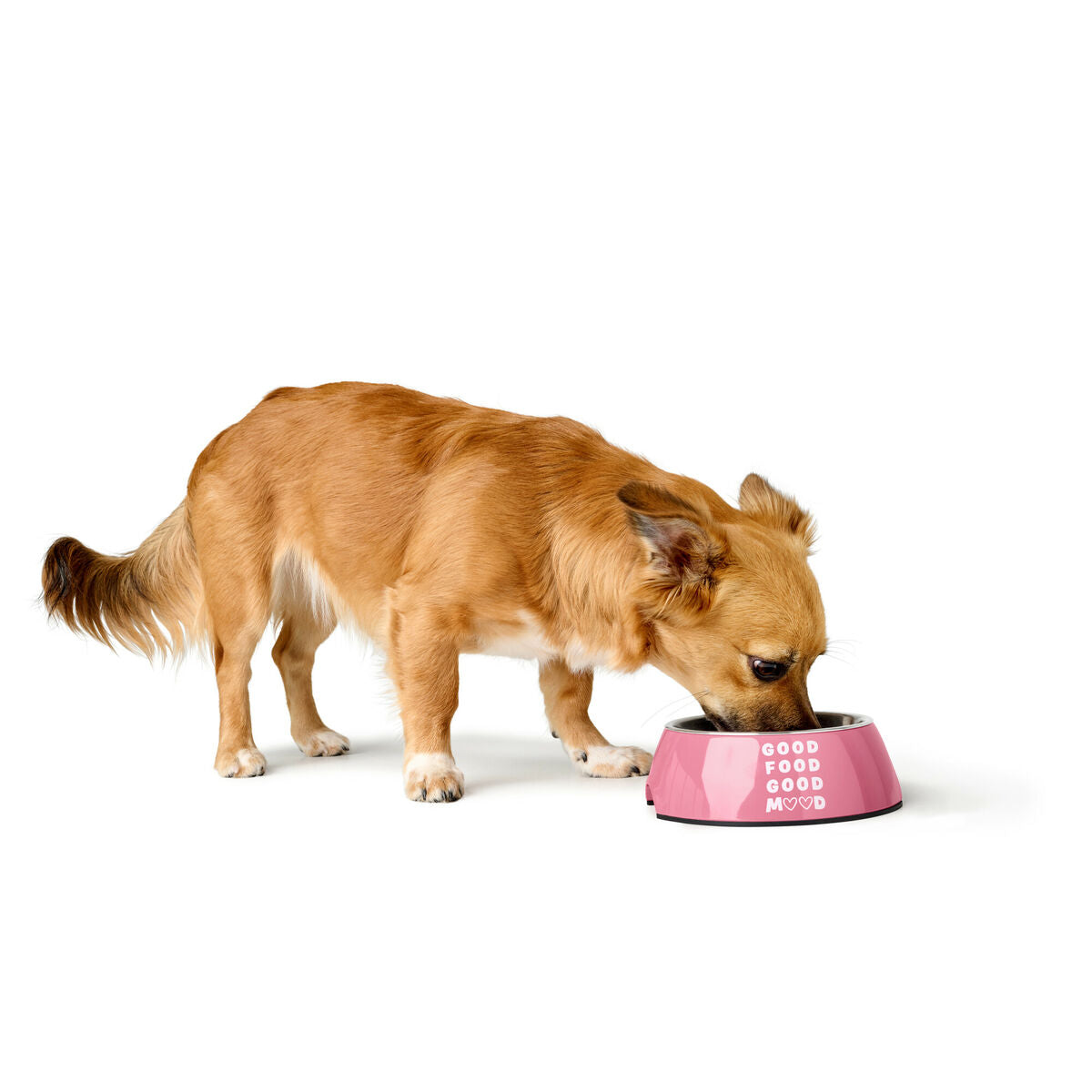 Dog Feeder Hunter Chester Pink 350 ml-2