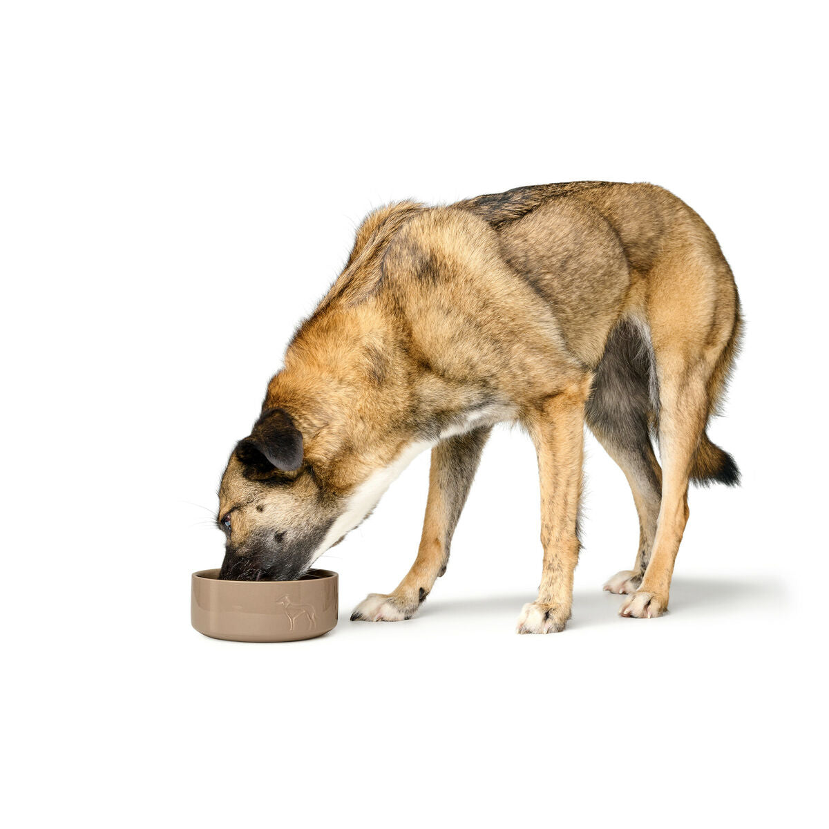 Dog Feeder Hunter OSBY Beige Ceramic 350 ml-2