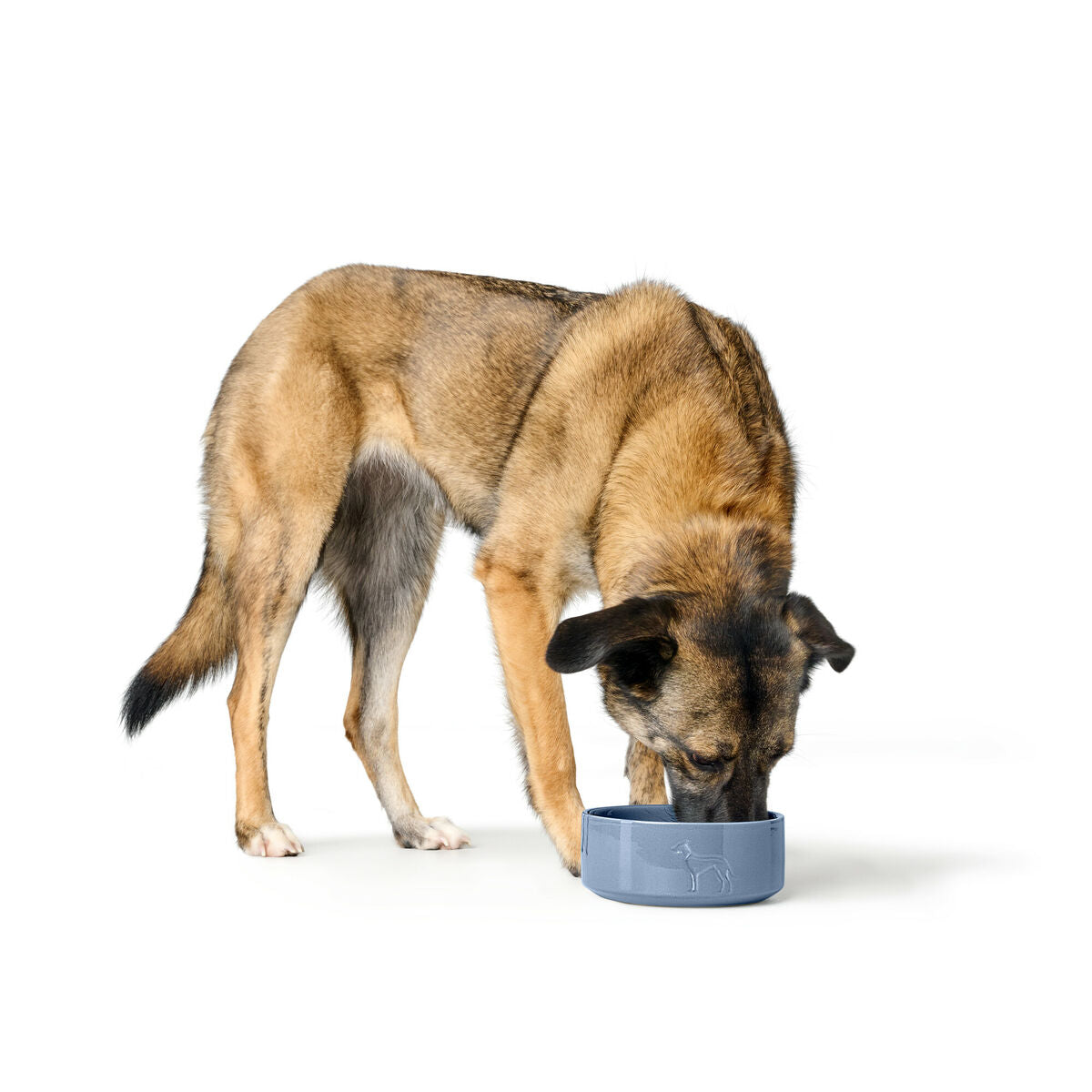 Dog Feeder Hunter OSBY Blue Ceramic 350 ml-3