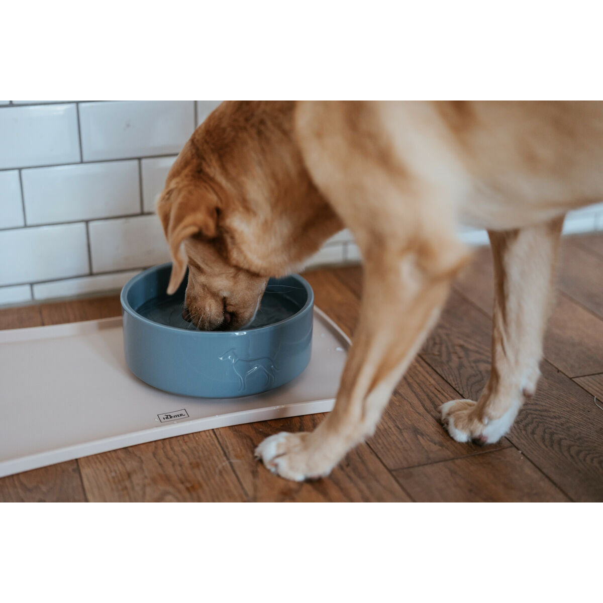 Dog Feeder Hunter OSBY Blue Ceramic 350 ml-1