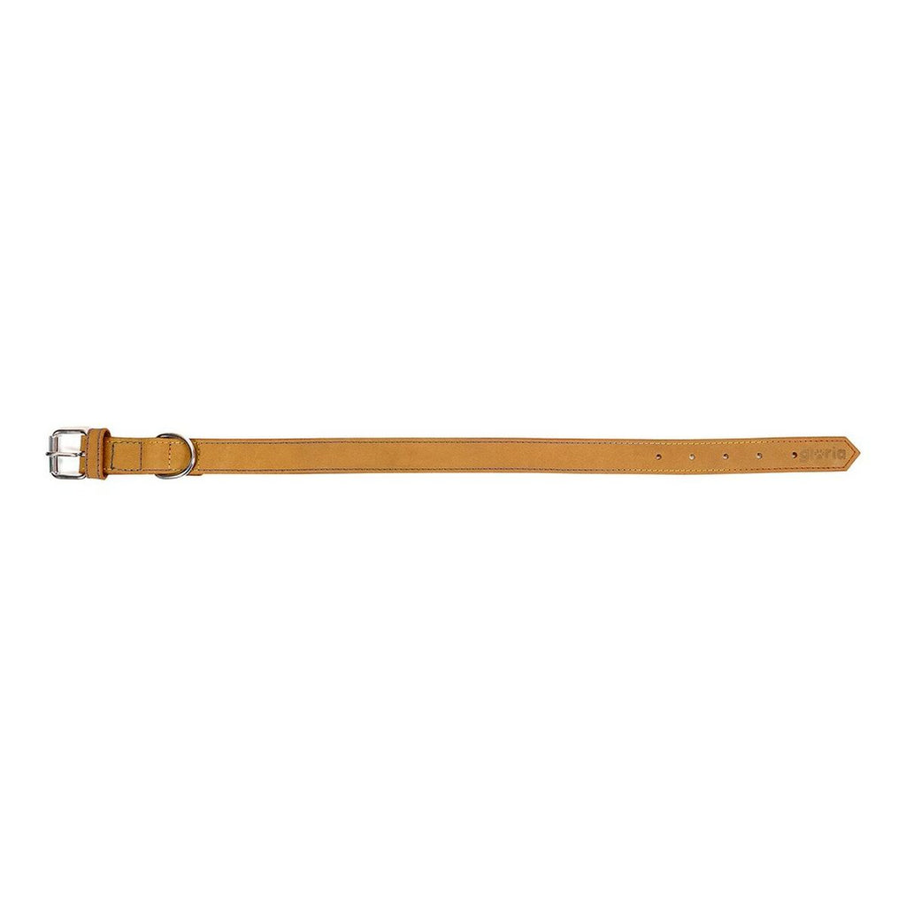 Dog collar Gloria Oasis Yellow (50 x 2,1 cm)-5