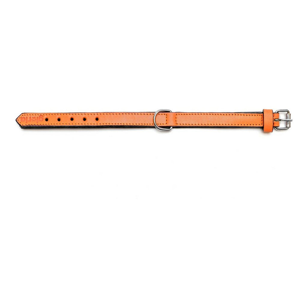 Dog collar Gloria Padded Orange (45 x 2 cm)-6