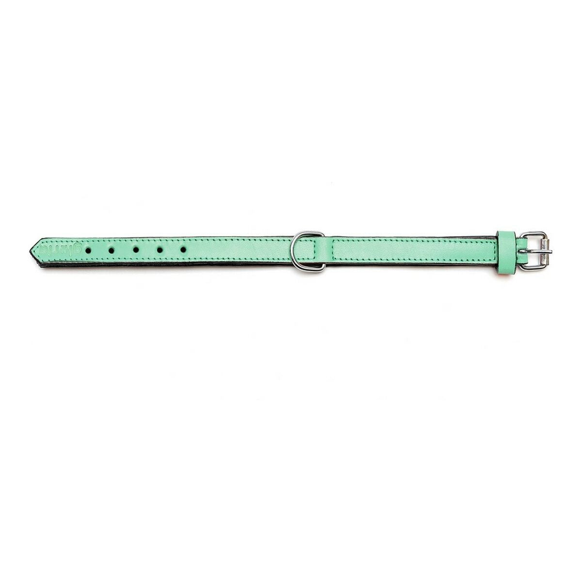 Dog collar Gloria Padded Green (40 x 2 cm)-6
