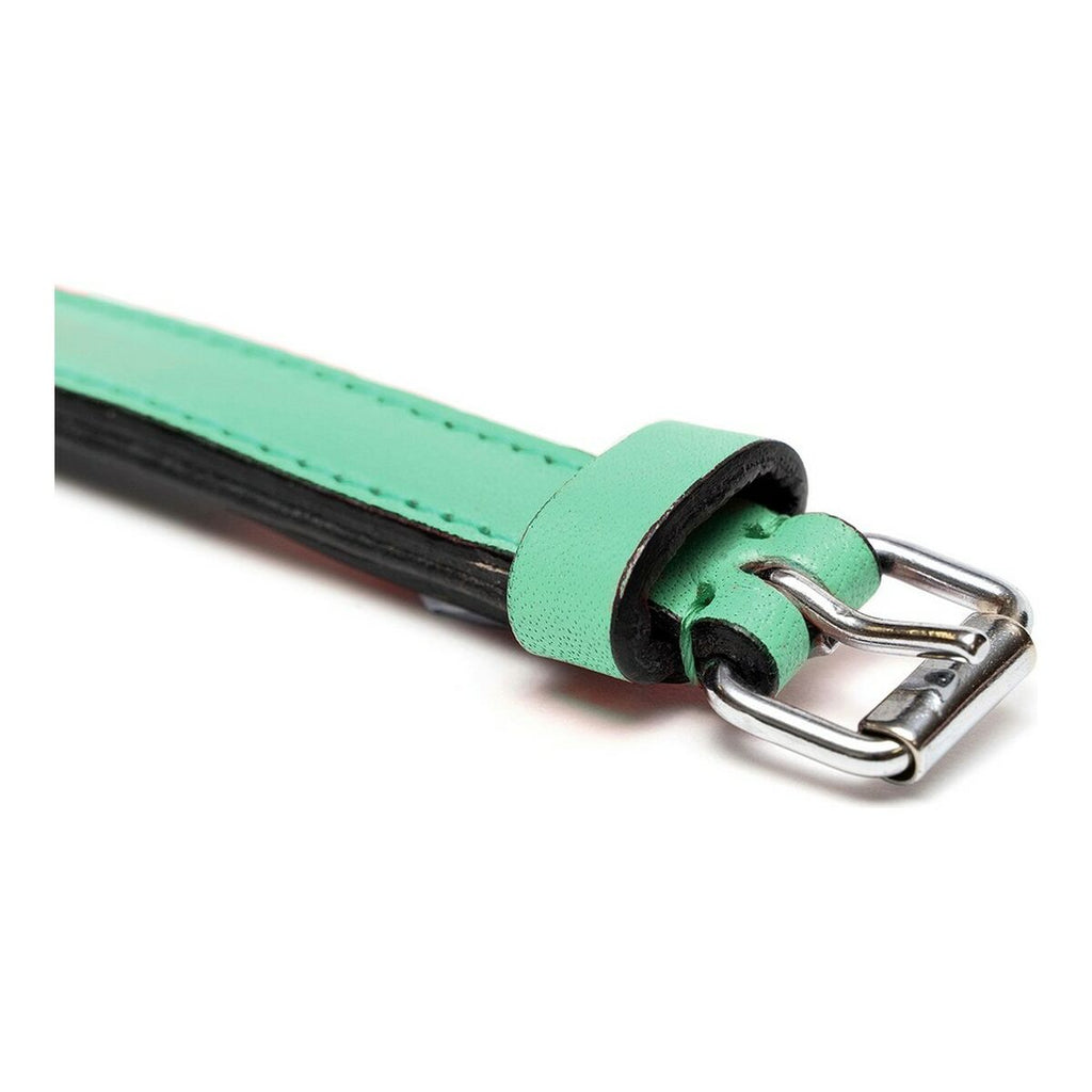 Dog collar Gloria Padded Green (40 x 2 cm)-5