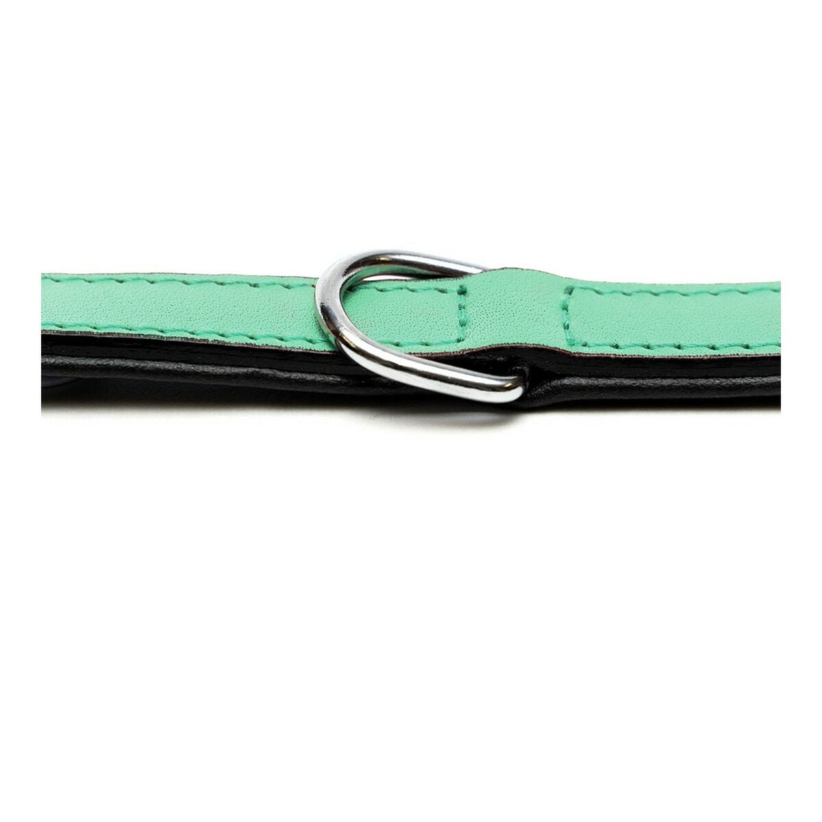 Dog collar Gloria Padded Green (40 x 2 cm)-2