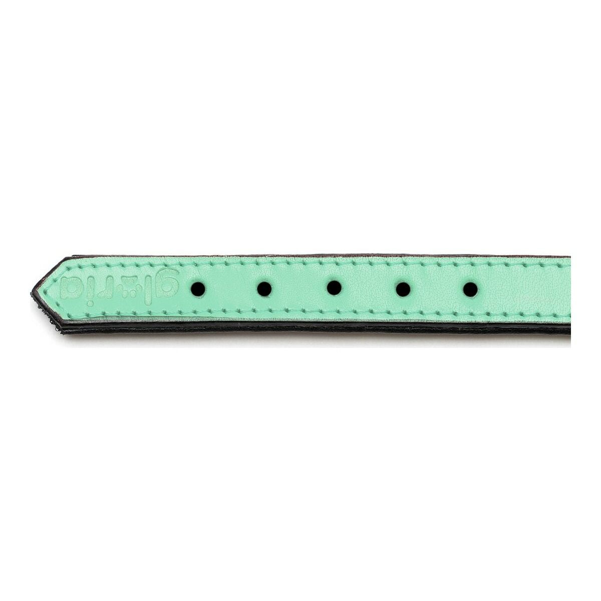 Dog collar Gloria Padded Green (40 x 2 cm)-1