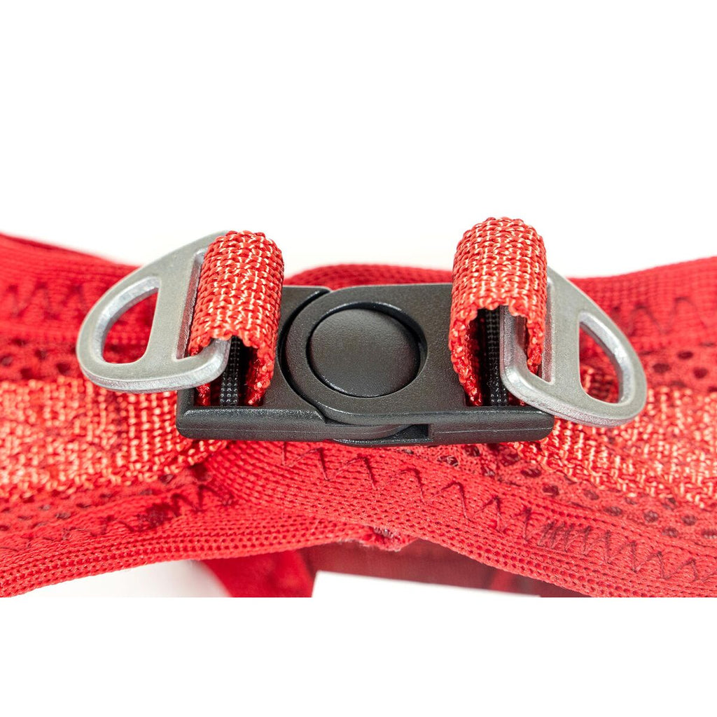 Dog Harness Gloria Trek Star 29,4-32,6 cm 41,4-43 cm Red S-5
