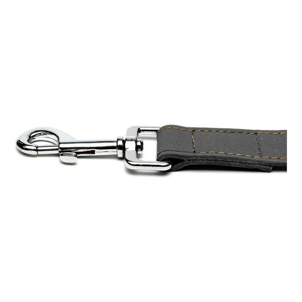 Dog Lead Gloria Oasis 1.5 x 100 cm Black-5