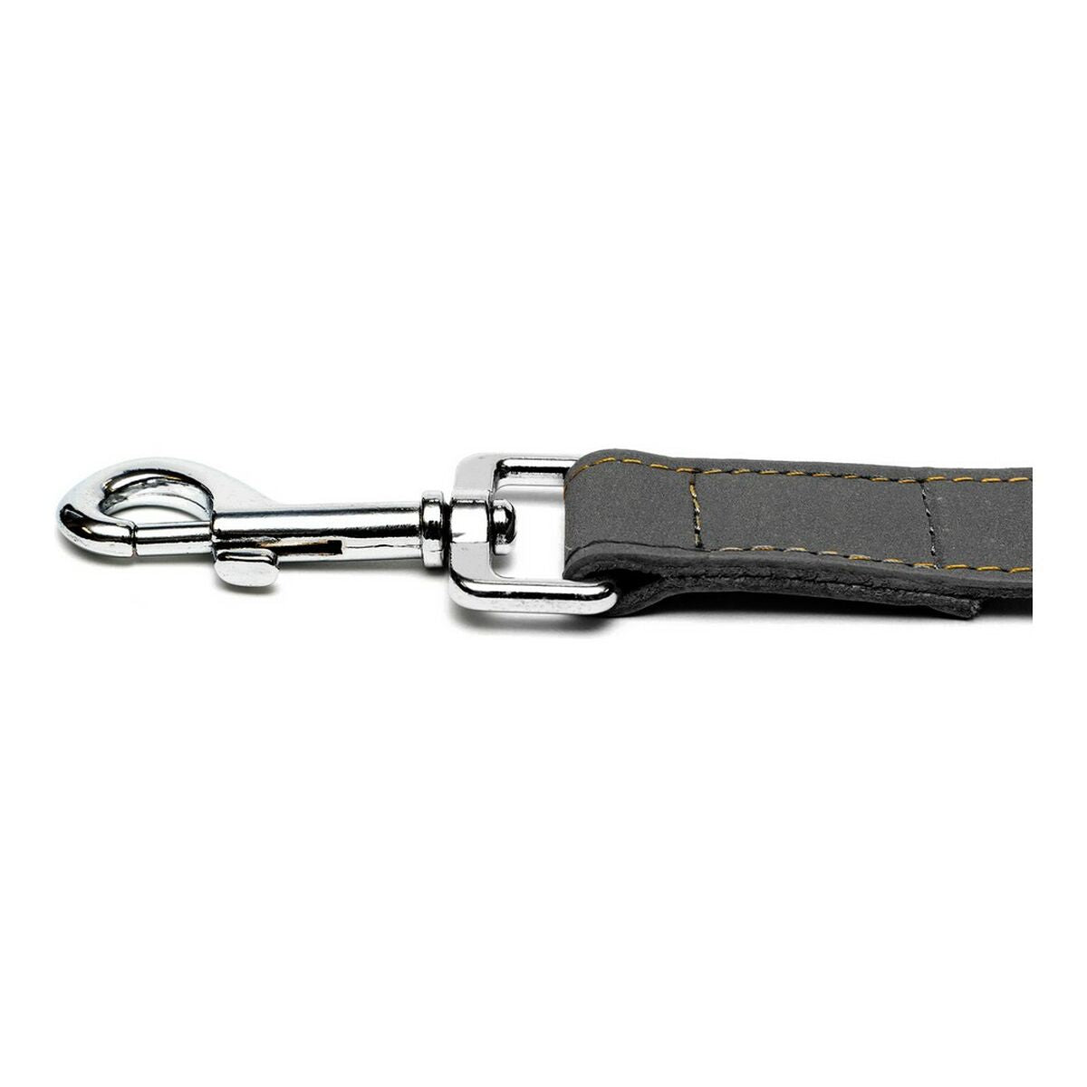 Dog Lead Gloria Oasis 1.5 x 100 cm Black-5