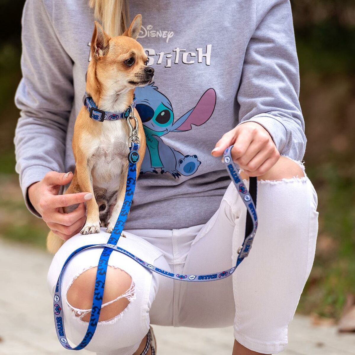 Dog collar Stitch-7