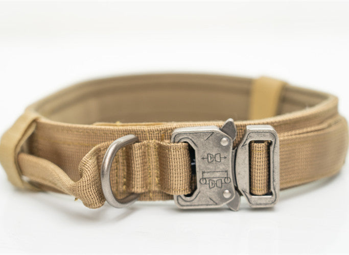 Nylon Pet Collars-4