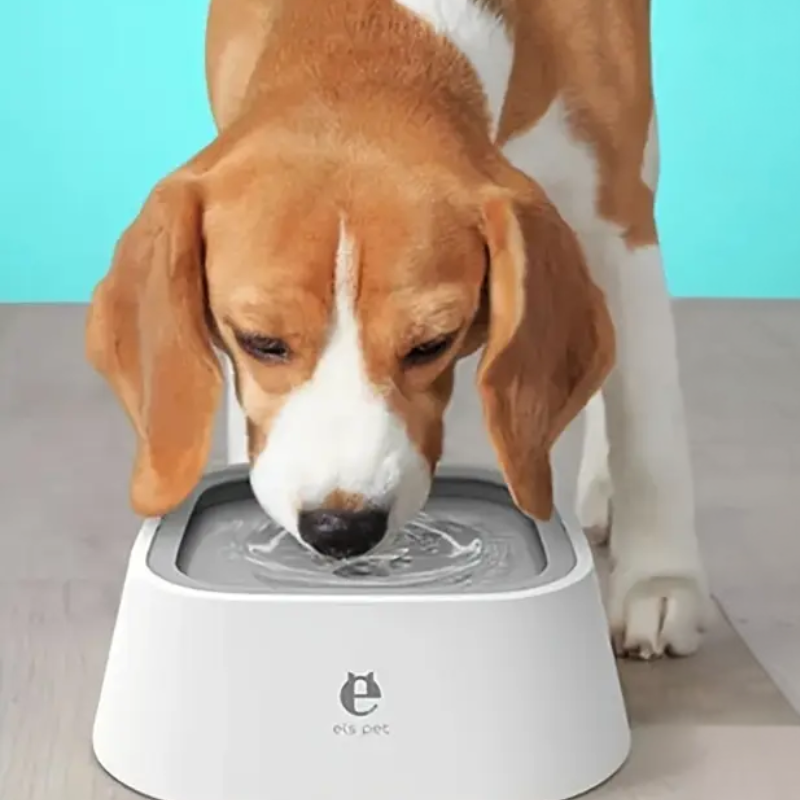 Non-Spill Anti-Splash Pet Water Bowl for Dogs-3