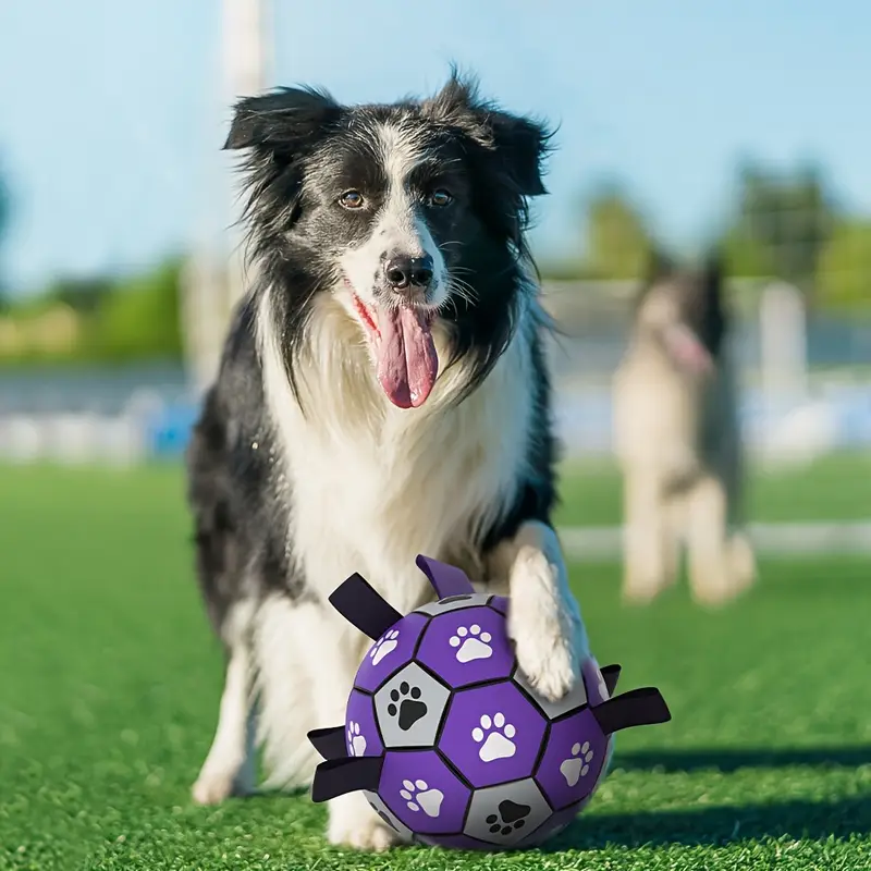 Rubber Dog Durable Soccer Ball with Straps-3